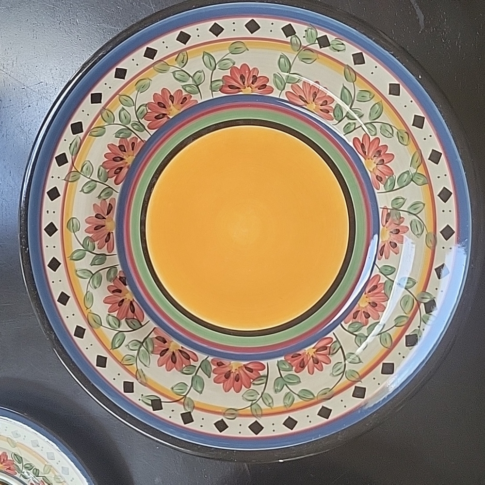 PIER 1 ALEXANDRIA Dinner Plate Hand Paint 11"